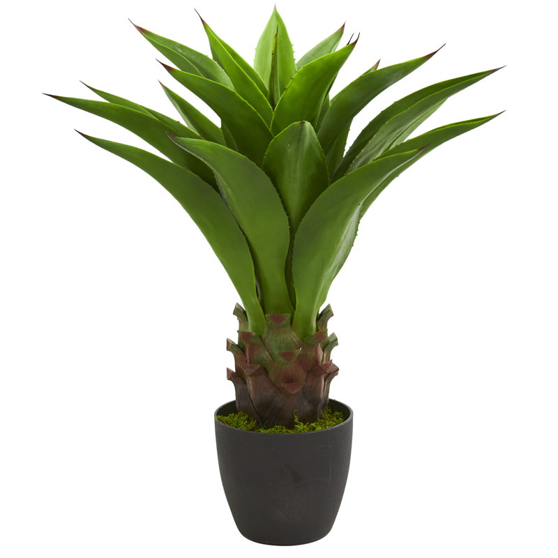 Agave artificielle en pot 23 po