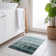 Freddie Washable Indoor / Outdoor Rug