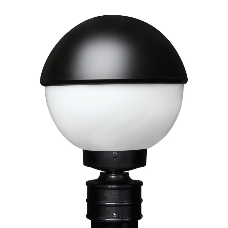 Tête de lanterne câblée à 1 lumière H 13,25 po Donnie, Noir