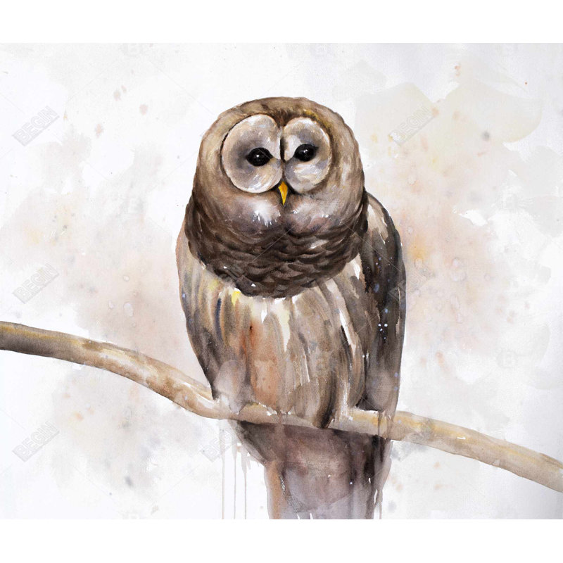 Barred Owl Rustic Duvet Cover - Cozy Home Decor Solution, King Duvet Cover