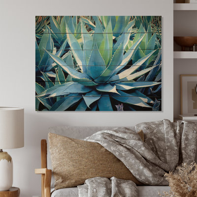 Moolchul " Green Succulents Majestic Agave I "