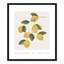 Amalfi Lemons - cadre photo, impression-66318802-66318814
