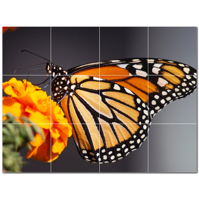 8 in. x 8 in. Ceramic Decorative Mural