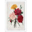 Bouquet botanique avec œillets par - Peinture-1316587969-1316587968