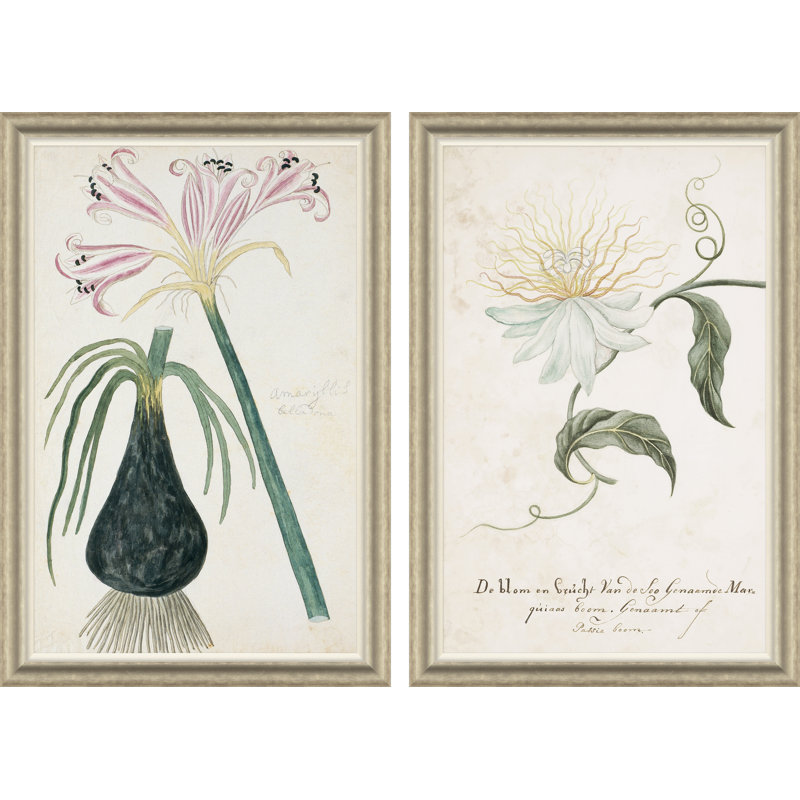 «Belladonna Lily & Flower on a Passion Tree» par Paul Cezanne - Peinture encadrée sur papier