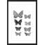 Motif de papillons - Reproduction d'art graphique sur papier encadré-16738969