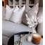 Bougie ambre noire classique à la vanille-38053331