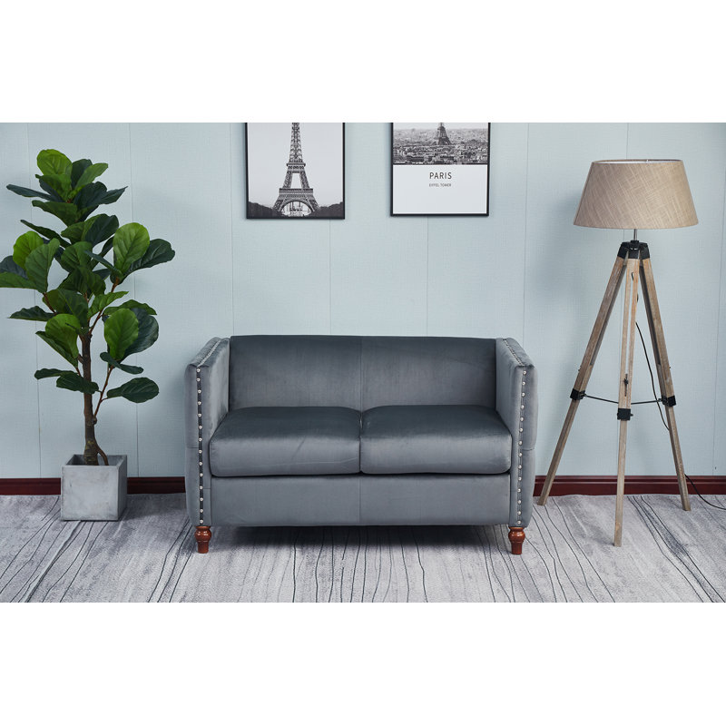 Causeuse à accoudoirs en velours 49 po Shawn, Velours gris