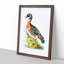 Summer Duck by George Shaw - Picture Frame Painting Print-55642392-55642396