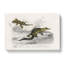 Alligator and Lizard Illustration - Wrapped Canvas-55368484