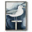 ANIMALS Series II, reproduction encadrée - bois massif-20836009