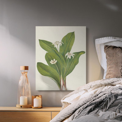 Hershberger Wrapped Canvas Print Set