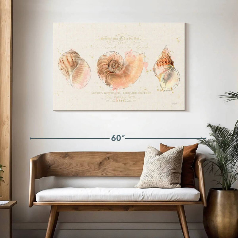 Aletra Pretty Shells Collection I, 30" H x 45" W