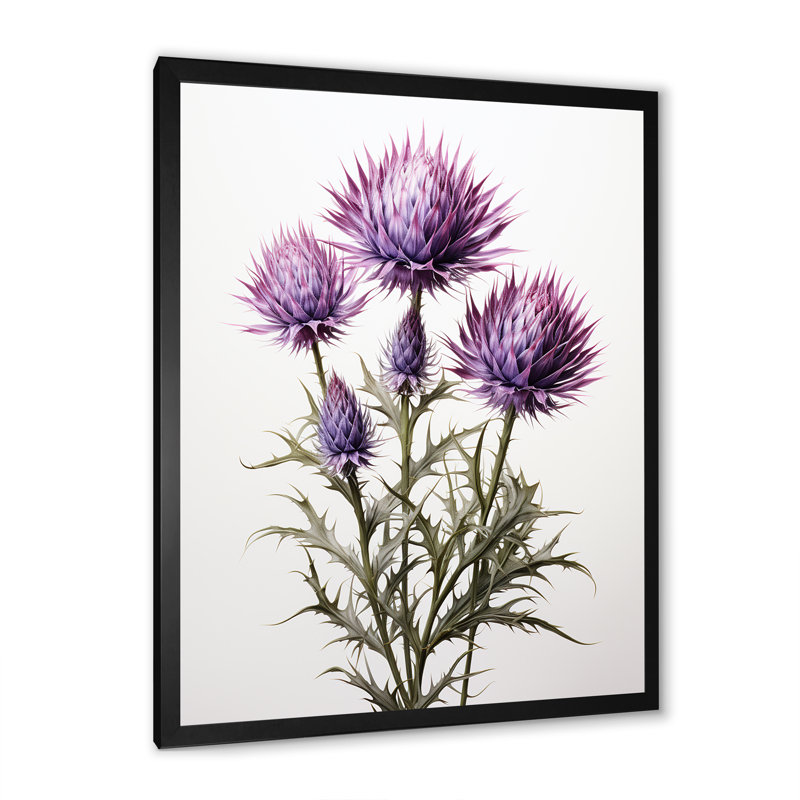Rustique mauve et Whitethistle - chardon, art mural, Cadre simple noir, H 20 po x l 12 po x P 1 po