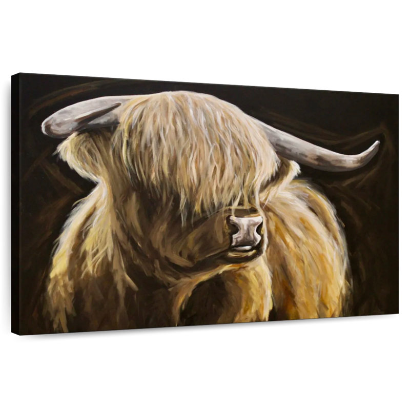 Vache Highland sur fond noir I, H 20 po x l 30 po