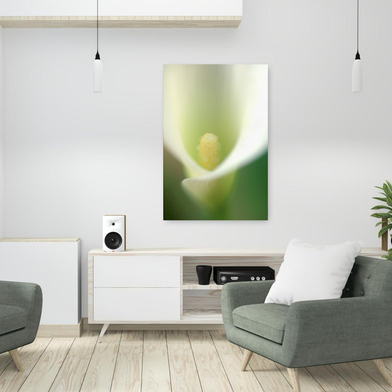 Calla Lilly, délicate fleur éthérée de rêve, art naturel, H 36 po x l 24 po