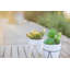 Plante grasse de bureau en pot-33652215