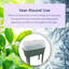 Aviezri Elevated Planter