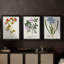 Nature imprimé Botanicals VIII - Toile tendue avec châssis sur mesure - 3 pièces-648272998-648272997