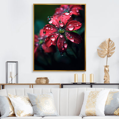 «Dew Drops On Red Marguerite Flower», reproduction sur toile