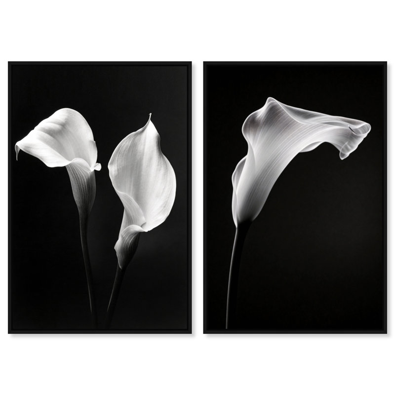 Calla Lily Set Set by Oliver Gal, 16" H x 11" W, Black Floater Frame