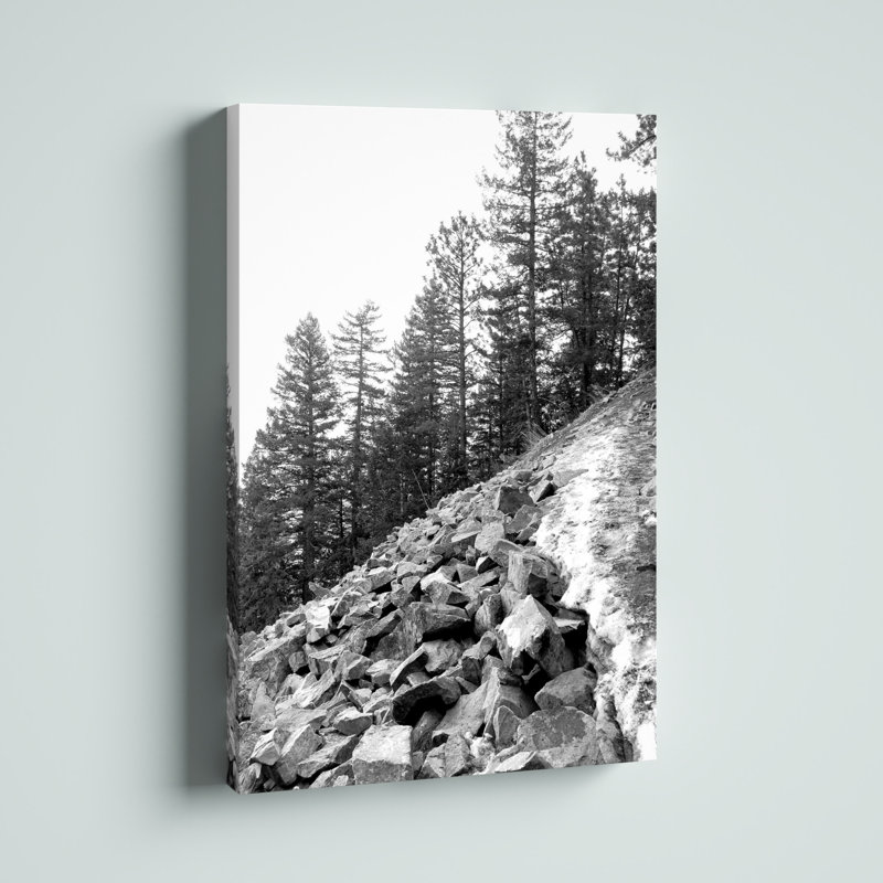 « Rocky Tree Line »-blanc/imprimé sur toile, H 18 po x l 12 po