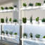 Damontez Plant Stand