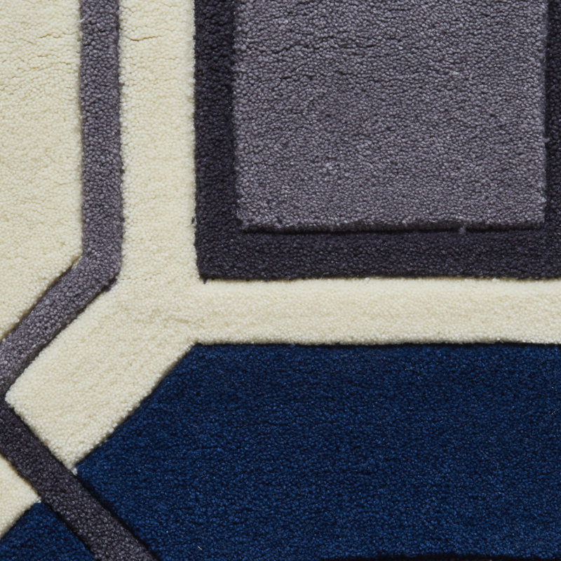 Evianna area rug Hand Tufted Rectangle Ivory/Navy, Rectangle 120 x 170cm