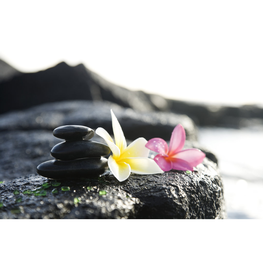 Massage Stones And Plumeria von Jhorrocks - Leinwanddrucke