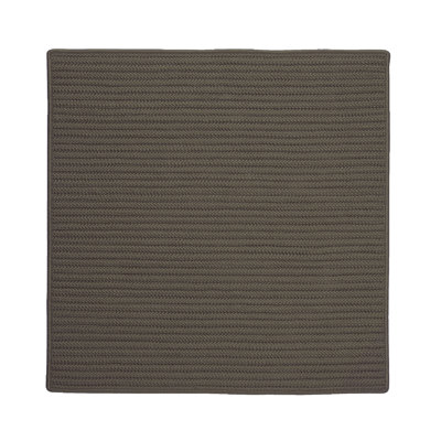 Indoor / Outdoor Rug