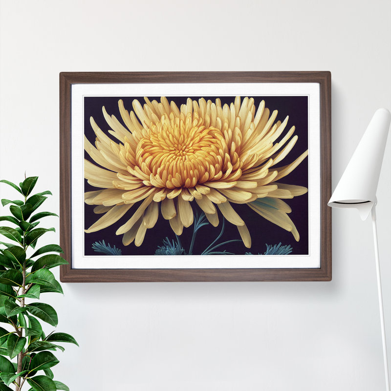 Charming Chrysanthemum Flower - Framed Print, 34cm H x 46cm W x 2cm D, Walnut