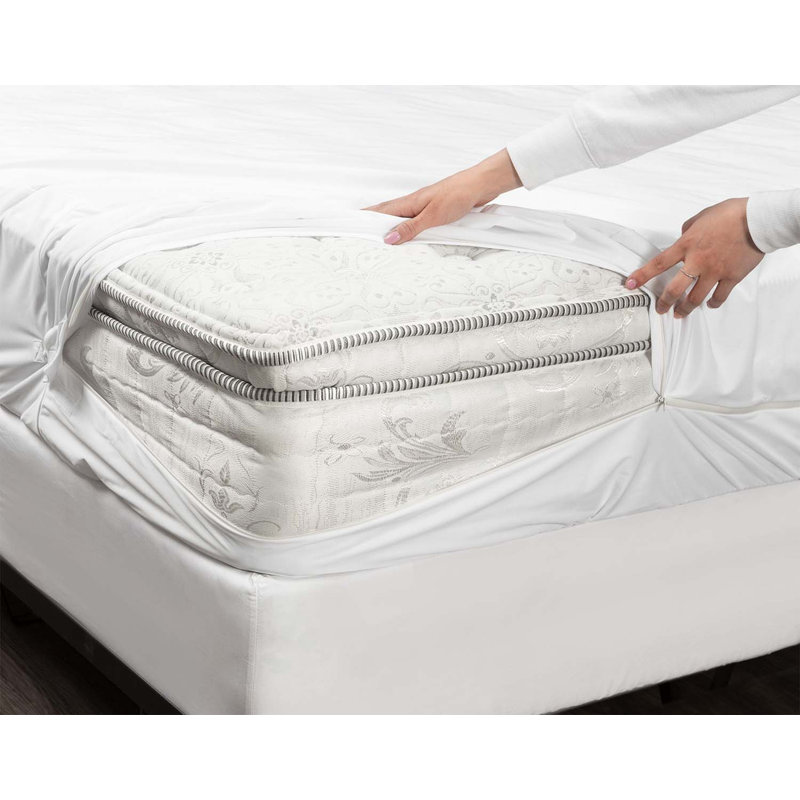 Protège-matelas Meggie imperméable jusqu'à 14 po, Double