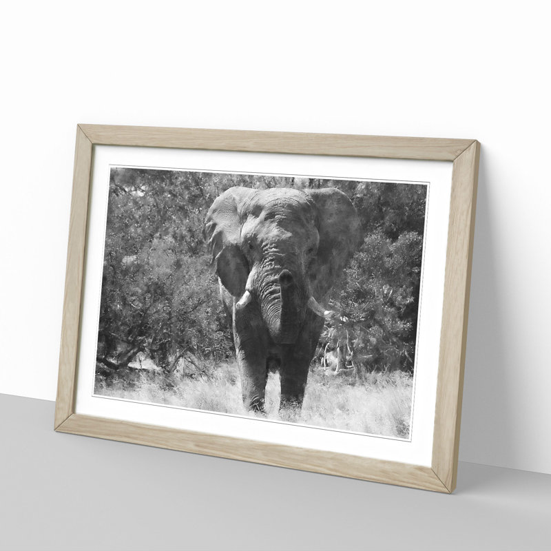 The Majestic Elephant - Framed Print, 45cm H x 63cm W x 2cm D, Oak