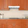 Ancona 24" Stainless Steel 110 CFM Convertible Under Cabinet Range Hood with Mesh Filter
