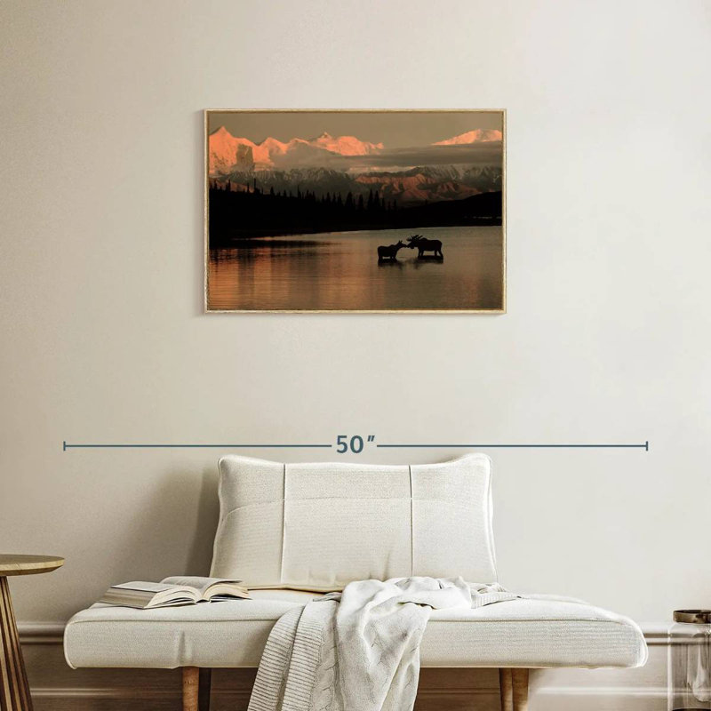 Courting Moose In Wonder Lake, Cadre flottant en bois naturel, 46 po x 31 po