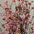 Artificial Blossom Tree-23975456