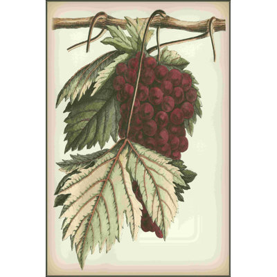 " Red Grapes I "