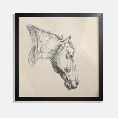 Head Of A Horse Print by Reinierus Albertus Ludovicus