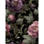 Papier peint floral, affiche murale mauve rétro