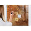 Magnetic Glass Dry Erase Board