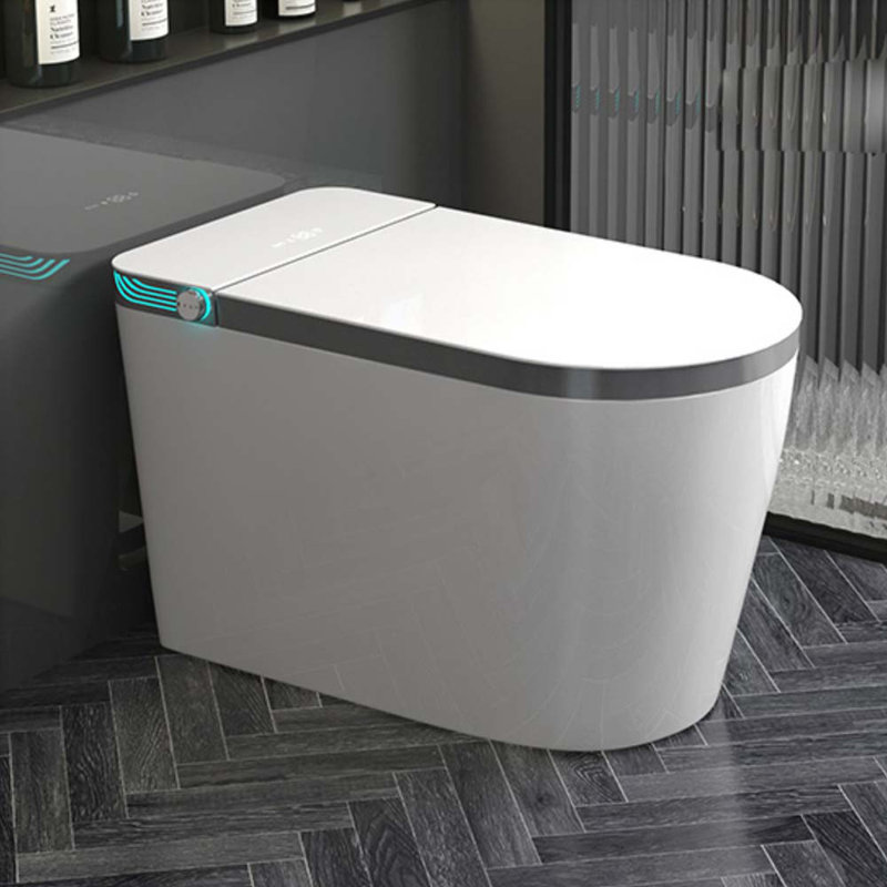 Toilette allongée une pièce Tusuton 1,32 GPF, Blanc / gris