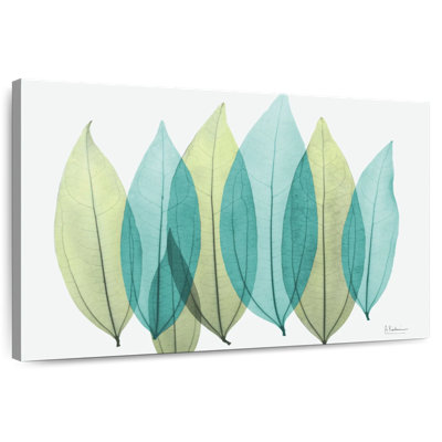 Harnek bleu vert feuilles de coculus