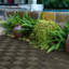 Carreaux de terrasse en bois d'acacia-124467598-124467596