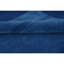 Area Rug in Blue-106952437