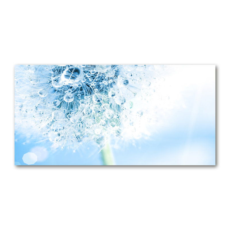 Dandelion - No Frame Print on Canvas