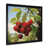 Black Single Picture Framed