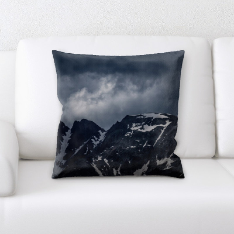 Coussin décoratif