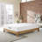 Modway Aveline Memory Foam Mattress-773182733-712072244