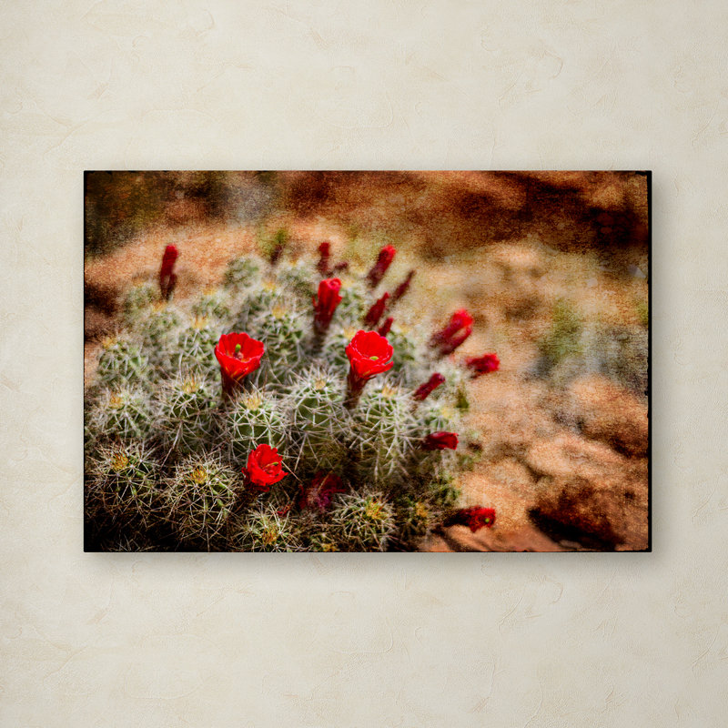 «Desert Flower 3», reproduction de photo sur toile tendue, H 12 po x l 19 po x P 2 po