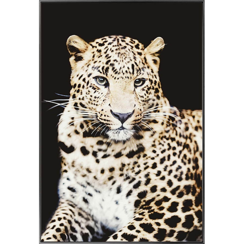 Unknown - Single Picture Frame Print on Glass